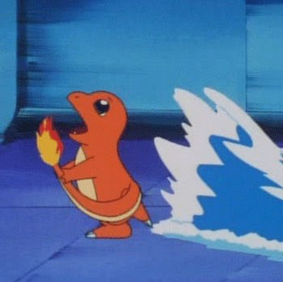 Meet your Posher, Ricardo - Picture 1 of 1